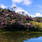 article author image